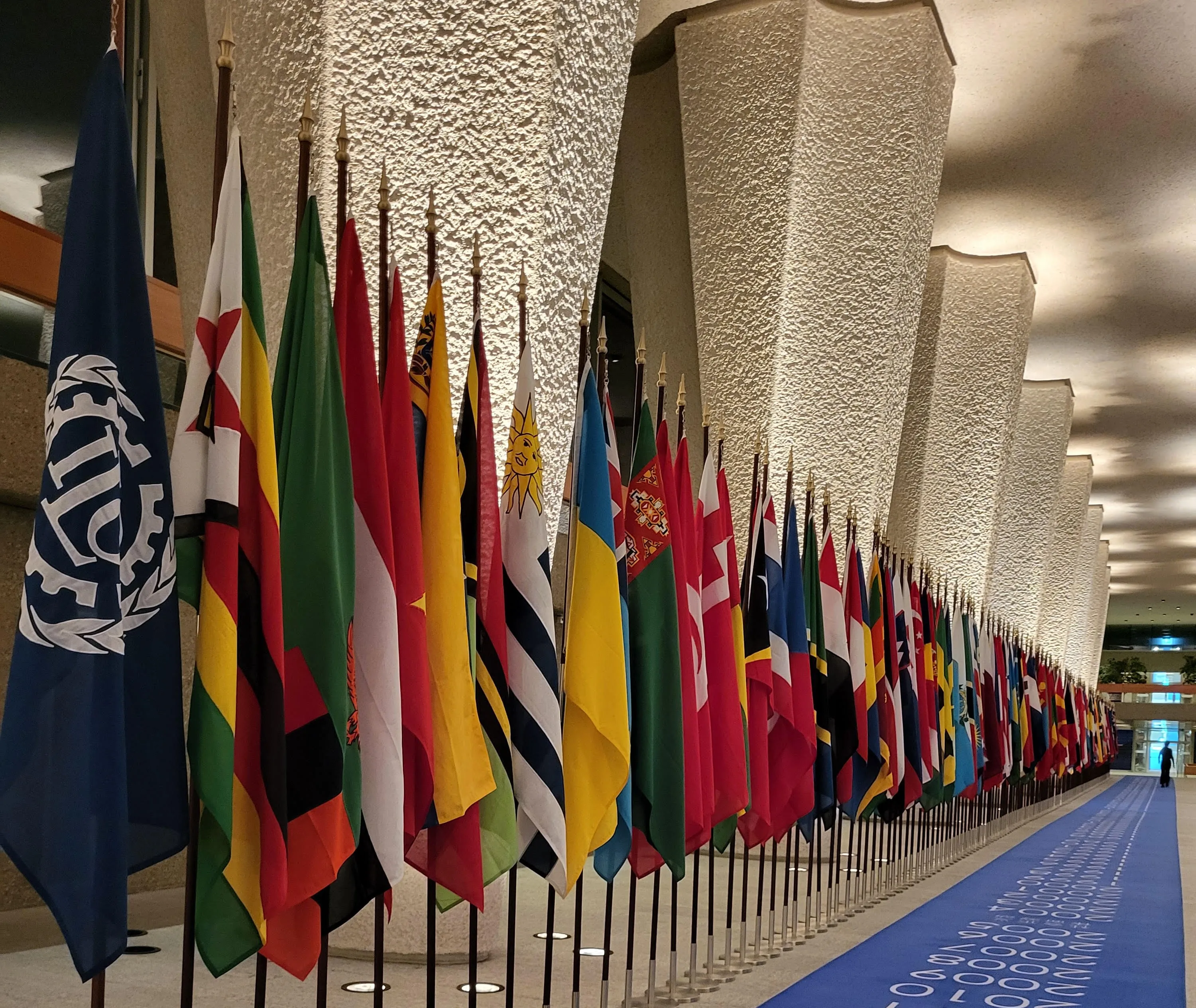 Le nombre total d'emplois perdus dans les deux zones (Gaza et Cisjordanie) est estimé à 390 000