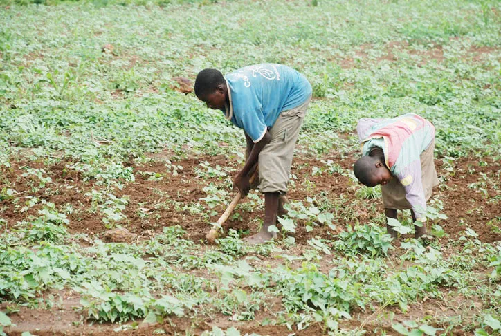 Un soulagement pour les promoteurs agricoles