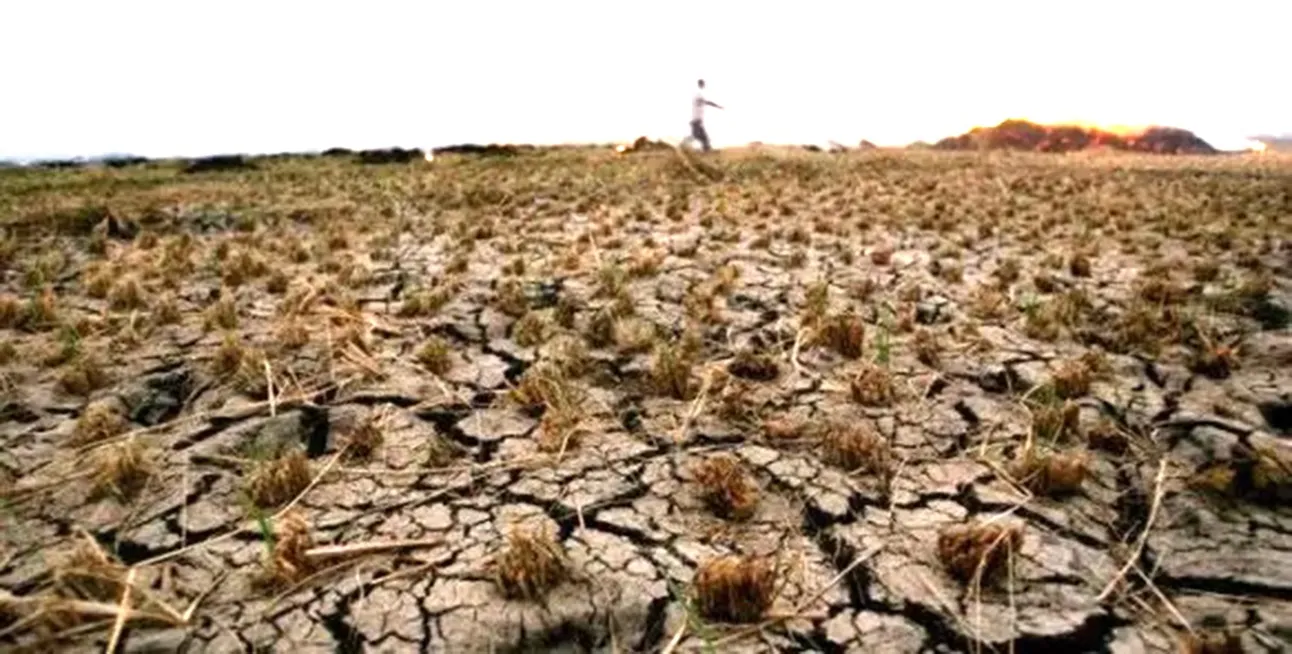 Les changements climatiques affectent négativement la production  et il importe de les endiguer