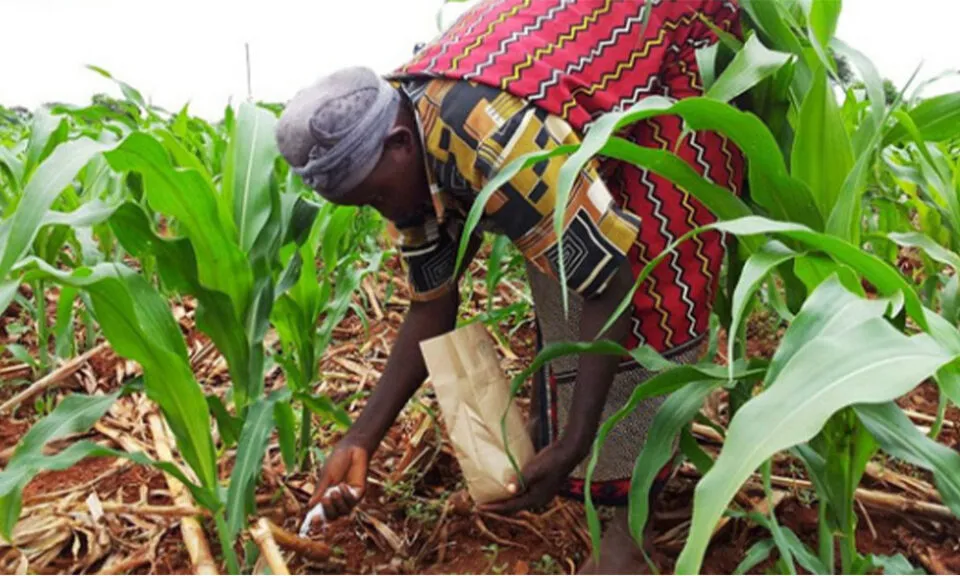 Campagne agricole 2025-2026