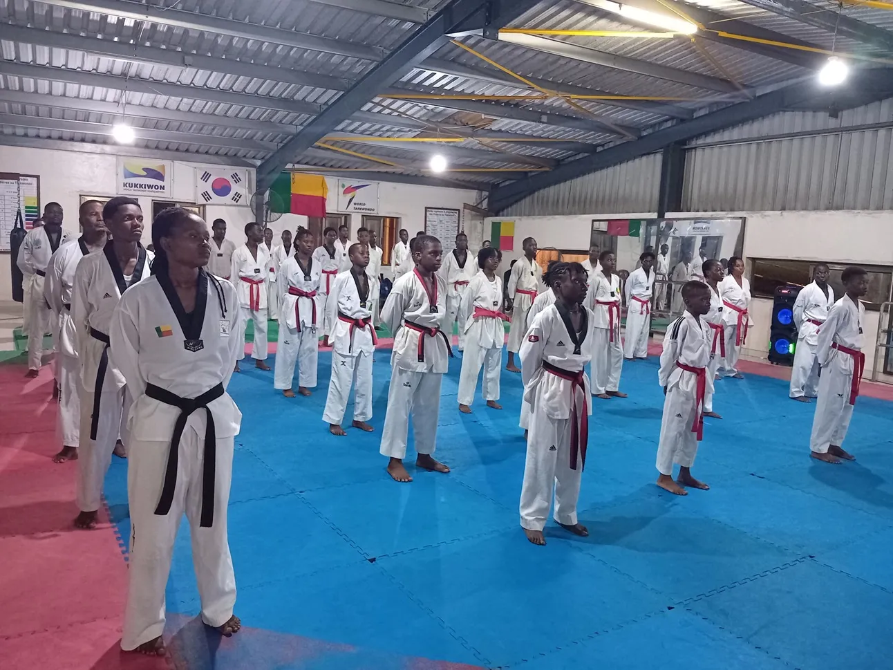 Fédération béninoise de taekwondo (Fbtae)
