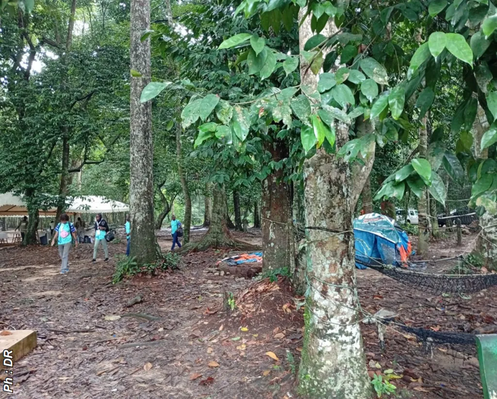 Le parc national Banco d’Abidjan, témoignage  de la grandeur de la nature