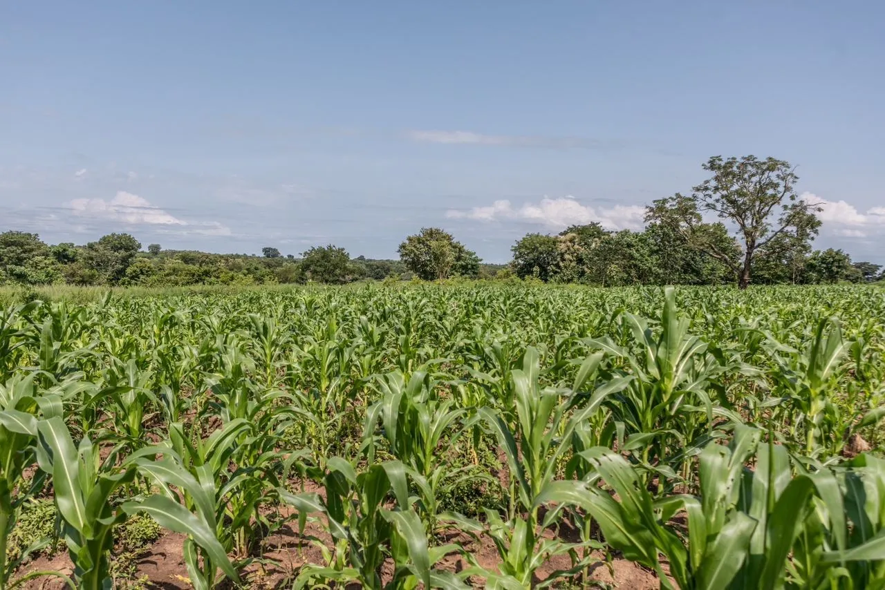 L’Afrique résolument engagée à jouer un rôle de premier plan dans  les secteurs vitaux de l’économie