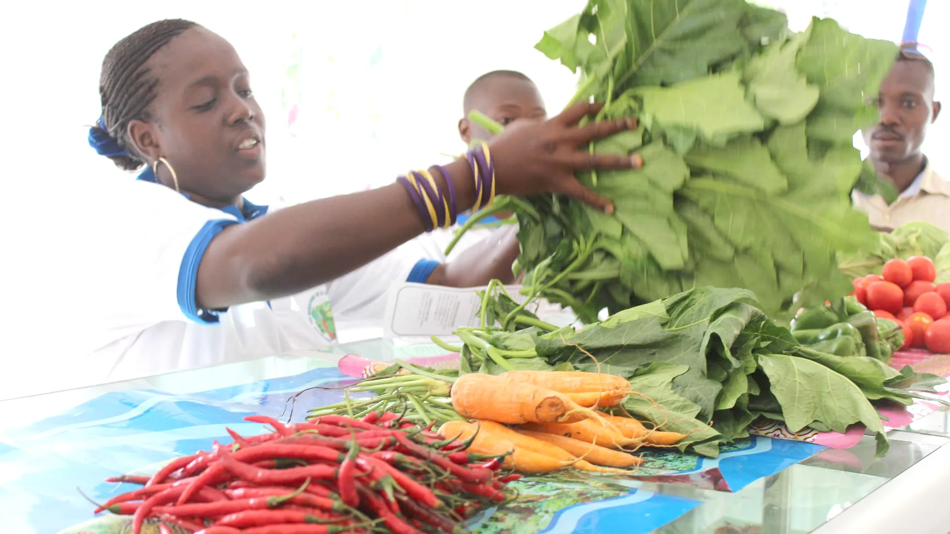 Le financement public est décisif pour les  exploitations agricoles