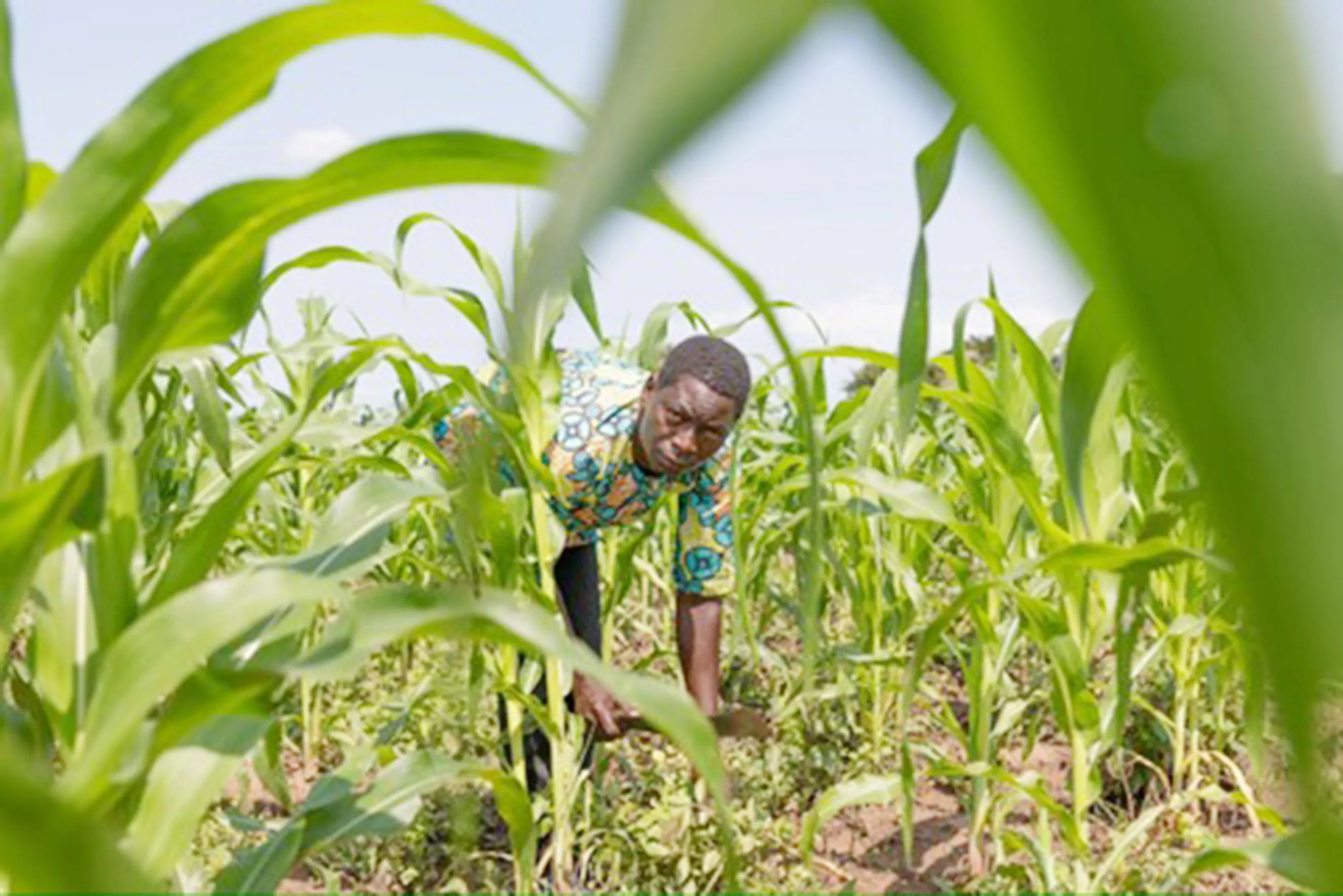 L’agriculture verte va sécuriser la production agricole et préserver les nappes phréatiques, de  plus en plus sollicitées